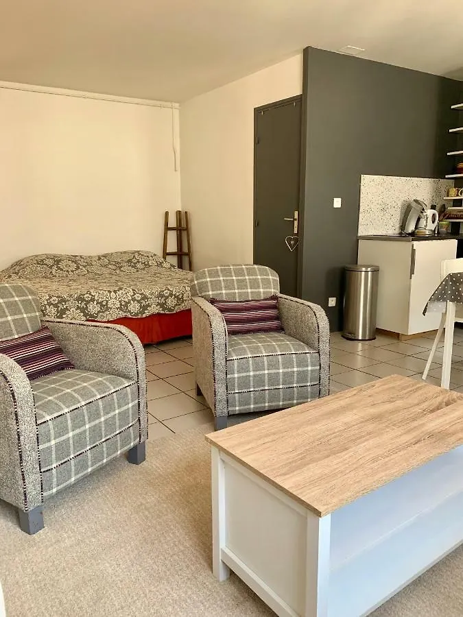 Studio Au Coeur De Lyon 0*,