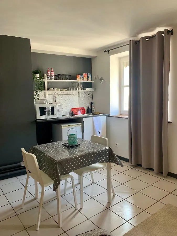 Apartment Studio Au Coeur De Lyon