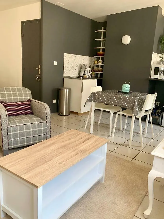 Apartment Studio Au Coeur De Lyon